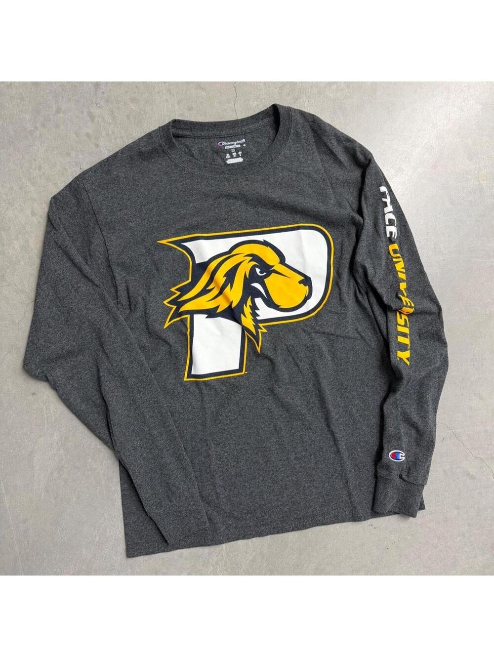 Y2K Men's Pace University Gray Collegewear Long Sleeve Tee Sized Medium